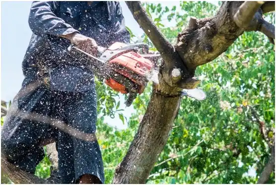 tree services Jenks